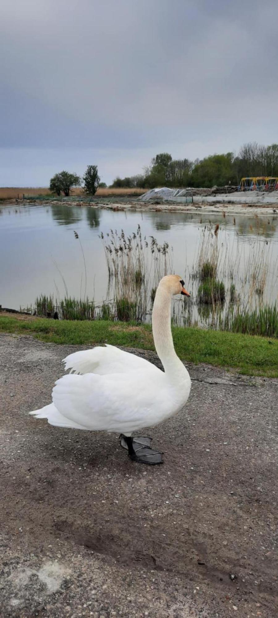 Pokoje Goscinne Nord Krynica Morska Buitenkant foto
