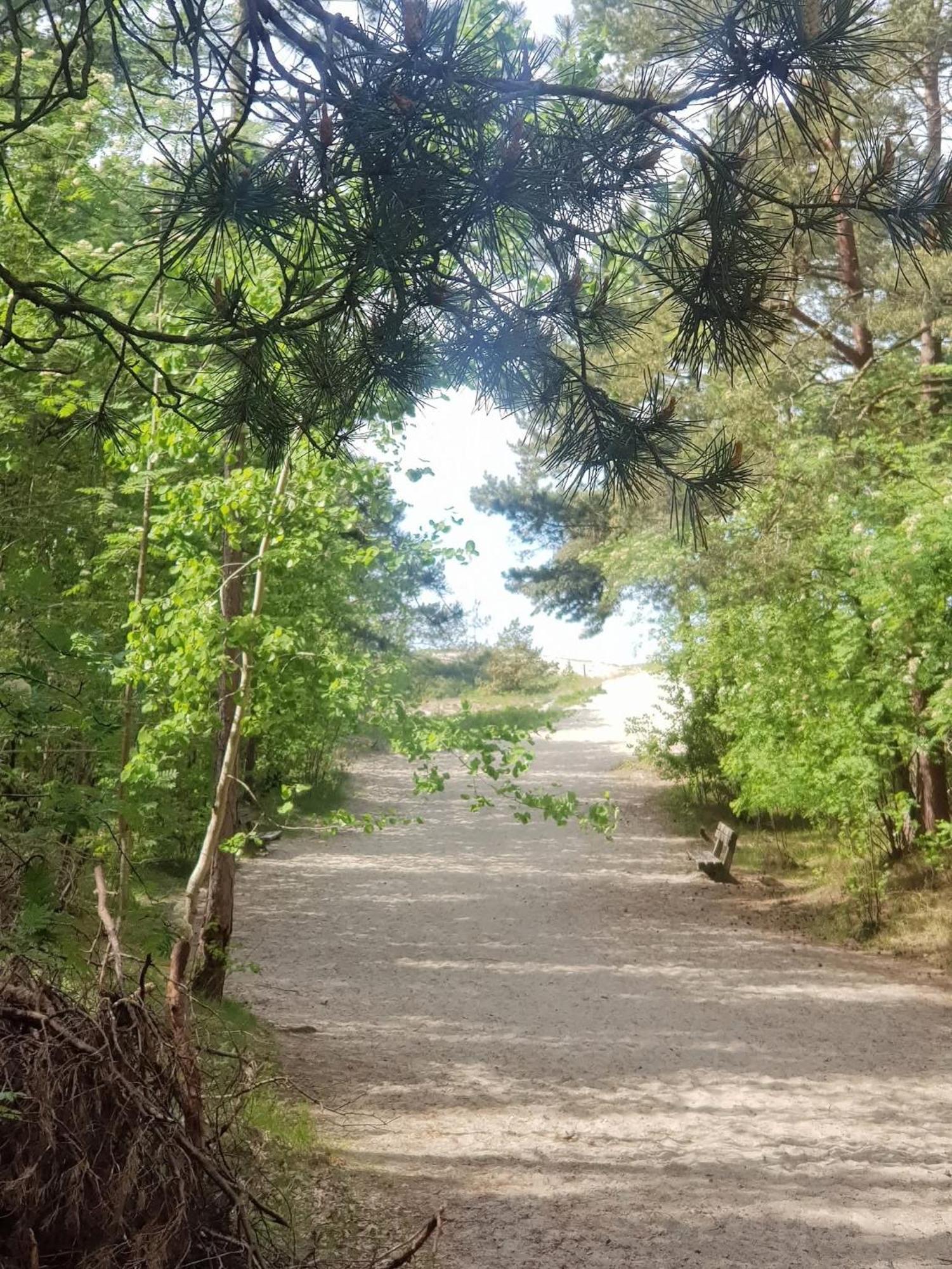 Pokoje Goscinne Nord Krynica Morska Buitenkant foto